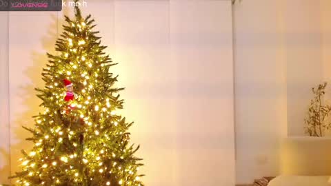 Snapshot of body_desire chatting on 11, 12, 2024 danna online show from 11, 12, 2024