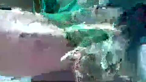 Snapshot of bogey58 chatting on 12, 2, 2025 bogey58 online show from 12, 2, 2025