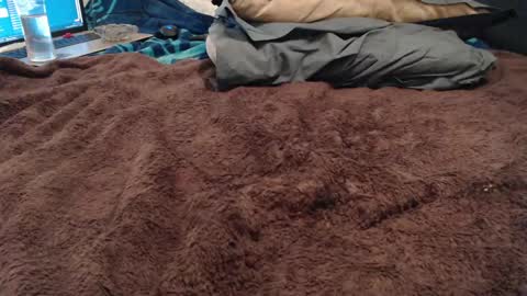 BoldPleasure online show from 13, 12, 2024