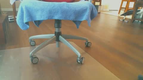 FRECKLES online show from 15, 12, 2025