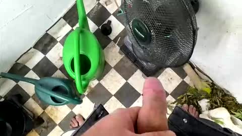 bonershot online show from 23, 3, 2026