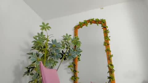   online show from 25, 2, 2026