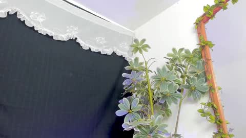   online show from 21, 3, 2026