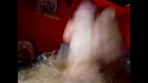 bonzoband online show from 20, 12, 2024