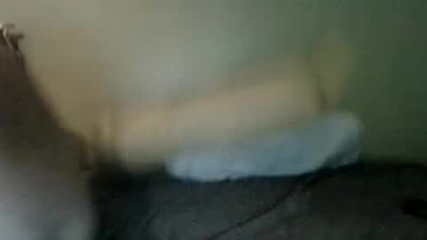 booboobumbum1 online show from 9, 6, 2026