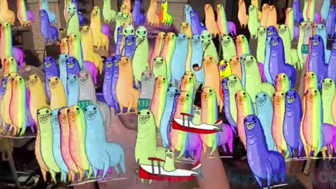 Booker Baxton online show from 15, 1, 2025