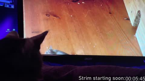 Booker Baxton online show from 2, 2, 2025