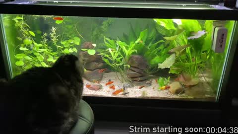 Booker Baxton online show from 9, 2, 2025