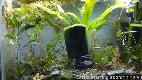 Booker Baxton online show from 11, 2, 2025