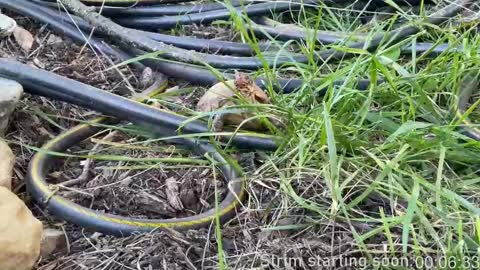 Booker Baxton online show from 5, 3, 2025