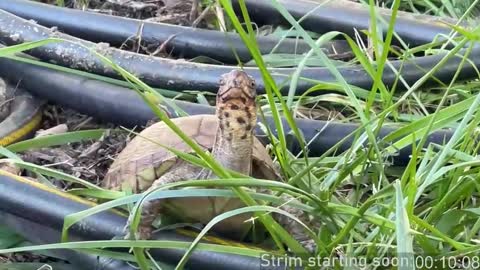 Booker Baxton online show from 30, 10, 2025