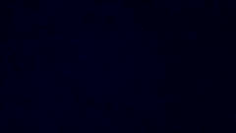 boredaf6678 online show from 14, 12, 2024