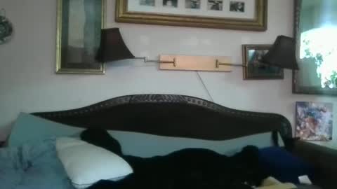 boredaf6678 online show from 16, 12, 2024