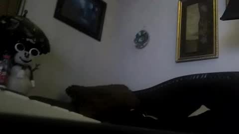 boredaf6678 online show from 23, 12, 2024