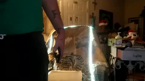 boredaf6678 online show from 25, 12, 2024