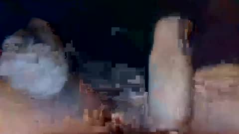 boss1234399043 online show from 29, 7, 2026