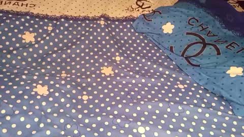 bossetassy online show from 16, 12, 2025