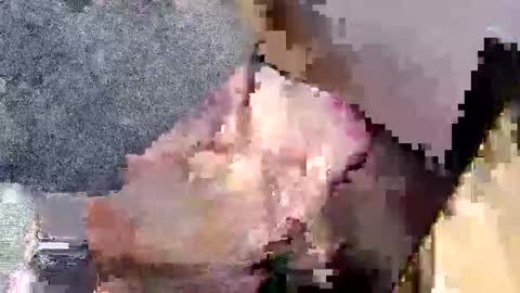 Snapshot of bossram160 chatting on 27, 9, 2025 bossram160 online show from 27, 9, 2025