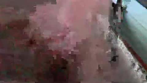 Snapshot of bossram160 chatting on 26, 10, 2025 bossram160 online show from 26, 10, 2025