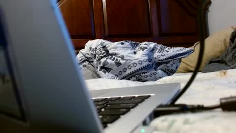 Snapshot of bottom_boiz chatting on 18, 12, 2024 Rue online show from 18, 12, 2024