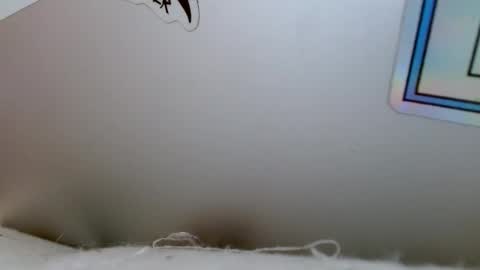 Snapshot of bottom_boiz chatting on 18, 12, 2024 Rue online show from 18, 12, 2024