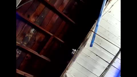 bouncr714 online show from 26, 2, 2026