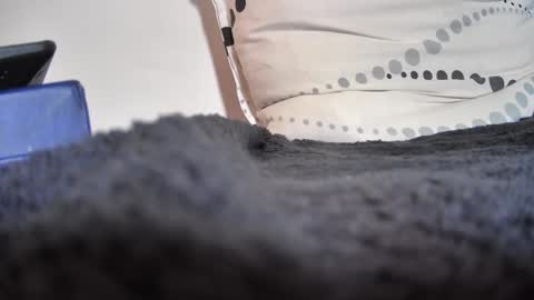 boy3911 online show from 11, 2, 2025