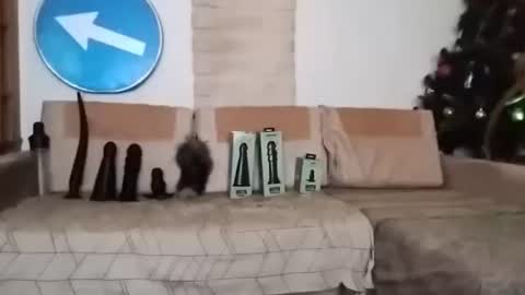 Bes7assquirt online show from 22, 2, 2025