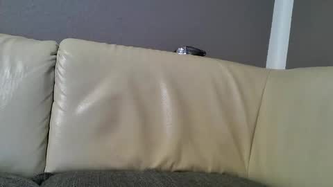 bramer8787 online show from 15, 2, 2025