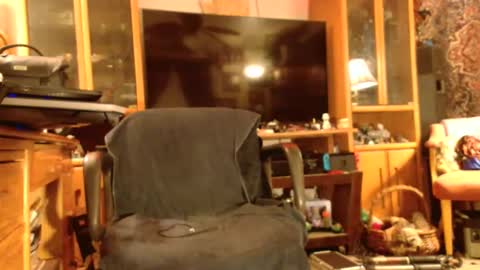Brandi online show from 24, 12, 2024