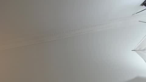 BrandonCole online show from 10, 2, 2025