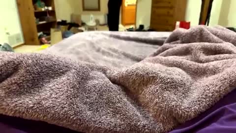 Snapshot of brandondot chatting on 16, 12, 2024 brandondot online show from 16, 12, 2024