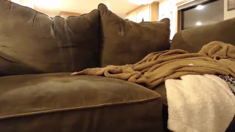 Snapshot of brandondot chatting on 3, 2, 2025 brandondot online show from 3, 2, 2025