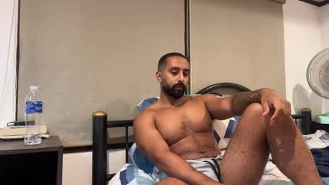 Daddy online show from 28, 9, 2025