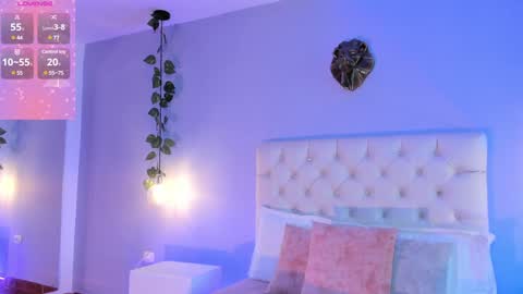   online show from 28, 12, 2024