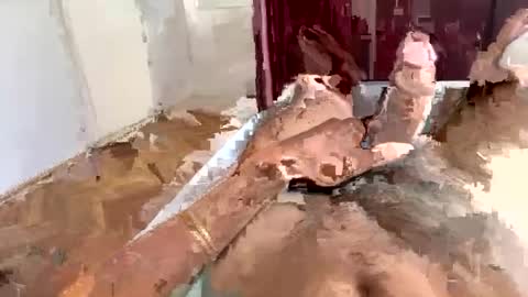 brazilianb0yy online show from 8, 8, 2026