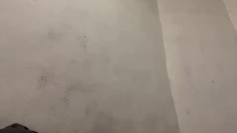 breanexe online show from 29, 10, 2025