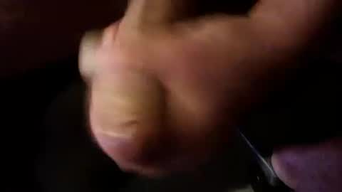 Snapshot of breeder88 chatting on 28, 9, 2025 Breeder online show from 28, 9, 2025