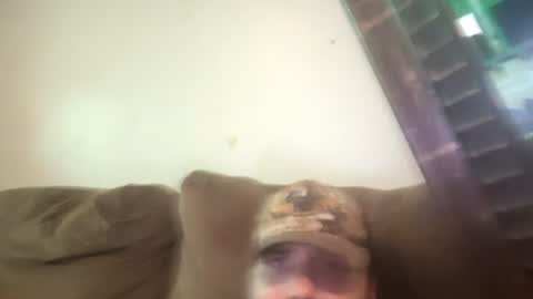 brennenangelle24atgmailcom online show from 18, 7, 2026