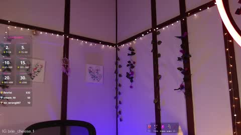 Brie  Ill be away November 2829 and 30. See u on Sunday for more fun online show from 12, 2, 2025