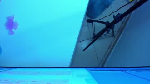 Snapshot of britanny_jones1 chatting on 21, 5, 2026 B R I T A N N Y online show from 21, 5, 2026