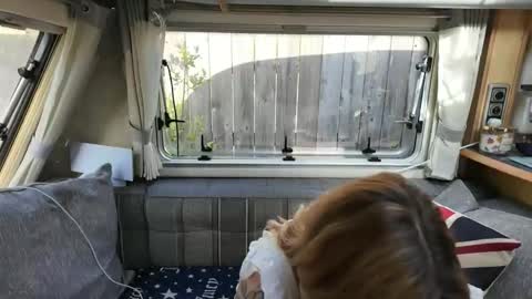 Snapshot of british_rosie chatting on 25, 5, 2026 Want to see more online show from 25, 5, 2026