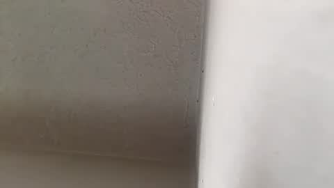 Brittany  online show from 20, 9, 2025