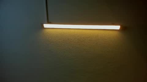 Brittany  online show from 14, 1, 2026