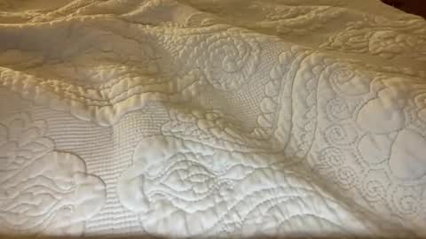 Snapshot of brittany_simpson chatting on 10, 11, 2025 brittany_simpson online show from 10, 11, 2025