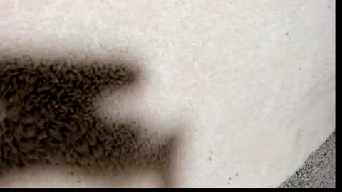 Snapshot of brockhurn_ chatting on 15, 9, 2025 brockhurn_ online show from 15, 9, 2025