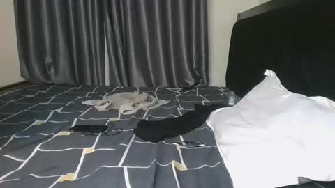 brown_sugar4 online show from 13, 11, 2025