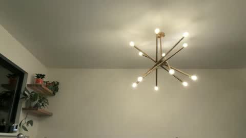 Bruce online show from 12, 4, 2026