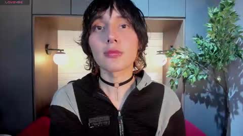 Bruno online show from 11, 7, 2026