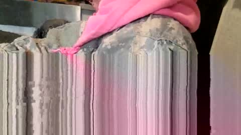 Steve... aka SkinnieDippin aka TimberTramp online show from 11, 3, 2026